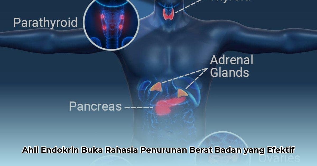 endocrinology weight loss